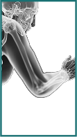 Elbow